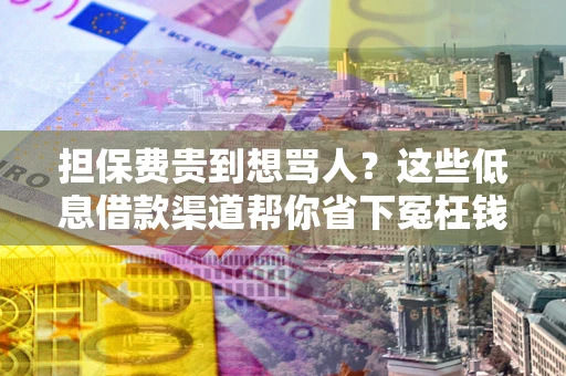 济南担保费贵到想骂人？这些低息借款渠道帮你省下冤枉钱