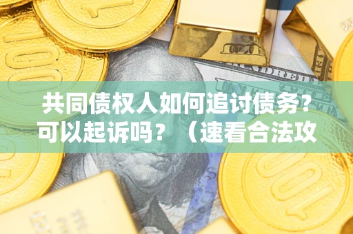济南共同债权人如何追讨债务？可以起诉吗？（速看合法攻略）