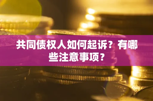 济南共同债权人如何起诉？有哪些注意事项？